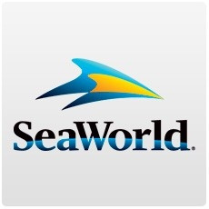 SeaWorld Orlando Single Day 